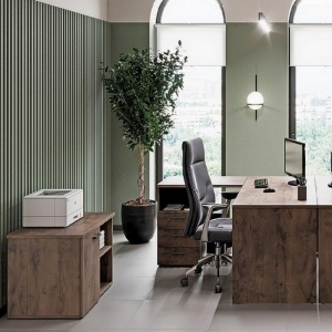 Доступные качество и стиль для любого офиса – LEMO